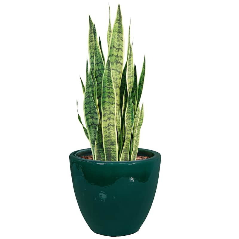 Sunnydaze Resort Glazed Ceramic Planter - 14.5" - Dark Green