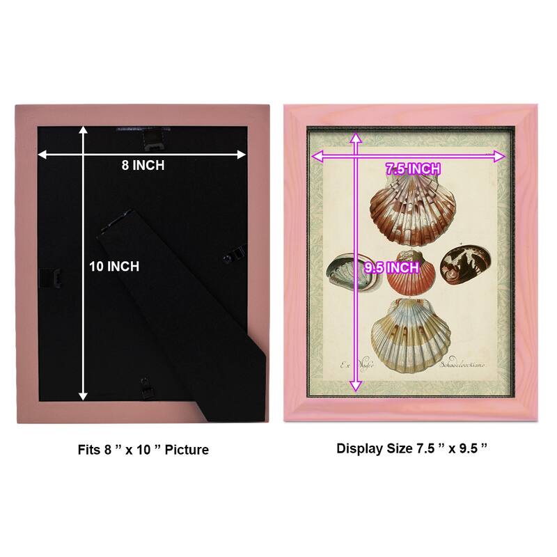 Bookplate Shells III -Framed Print w/glass-Cherry Red