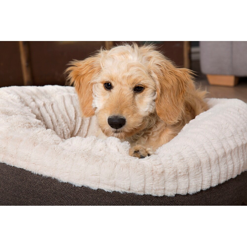 Scruffs xl dog bed online