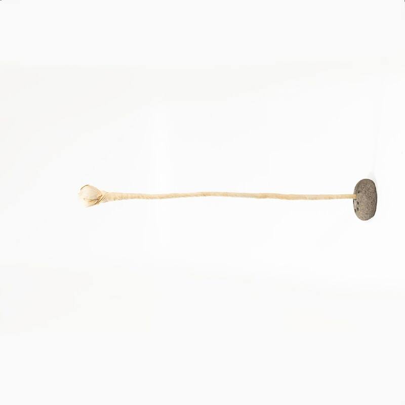 Flower Bud Tabletop Decoration - 25" - Cream