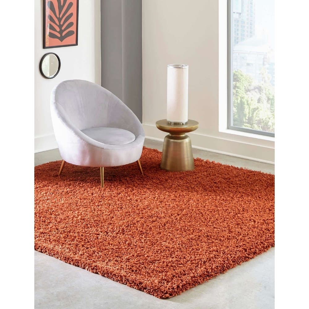 Shag Laurian Collection Area Rug