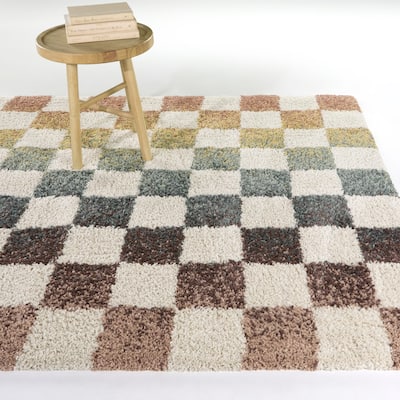 Baruch Checkered Shag Area Rug