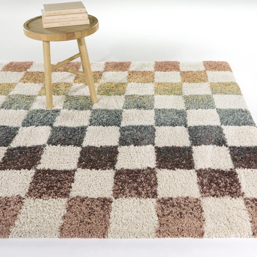 Baruch Checkered Shag Area Rug