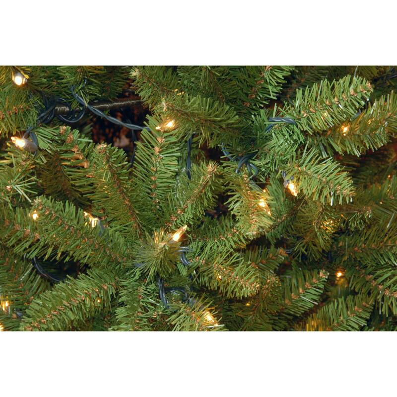 National Tree Company 3 ft. Kingswood Fir Pencil Tree with Clear Lights