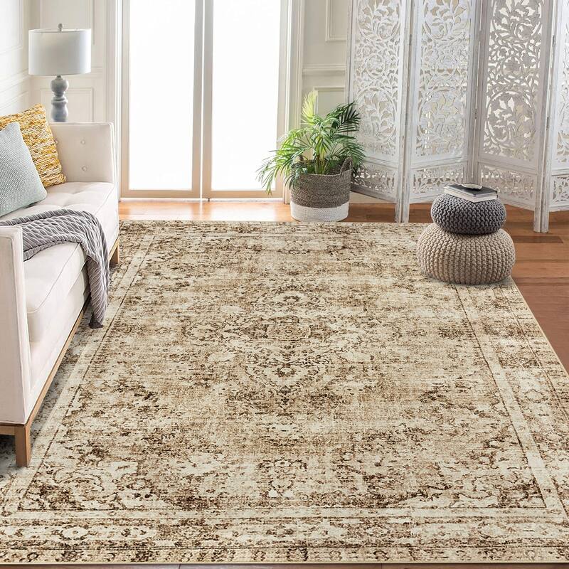 Area Rugs for Living Room Carpets Boho Washable Large Rugs for Bedroom