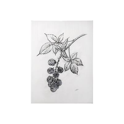 Wildberry Collection Blackberry (27 x 36) Canvas Art Print
