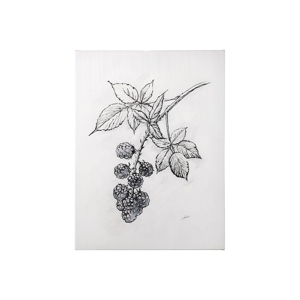 Wildberry Collection Blackberry (27 x 36) Canvas Art Print