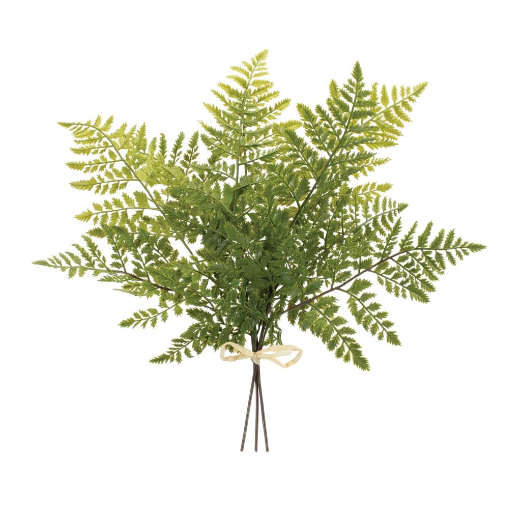 Mixed Fern Foliage Bundle (Set of 2) - Green