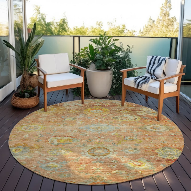 Machine Washable Indoor/ Outdoor Vintage Traditional Chantille Rug