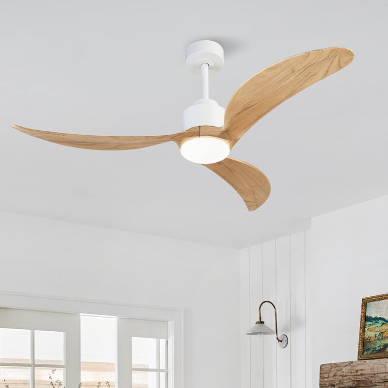 Ceiling Fan with Light Kit