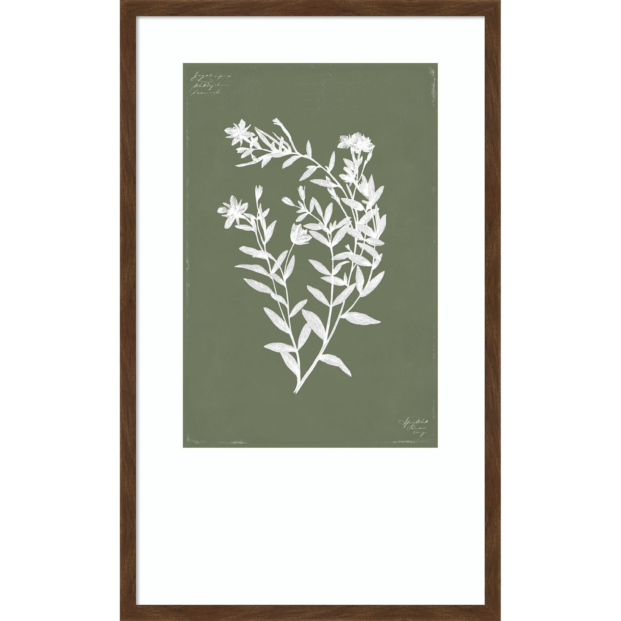 Botanical Garden III by PI Studio Wood Framed Wall Art Print