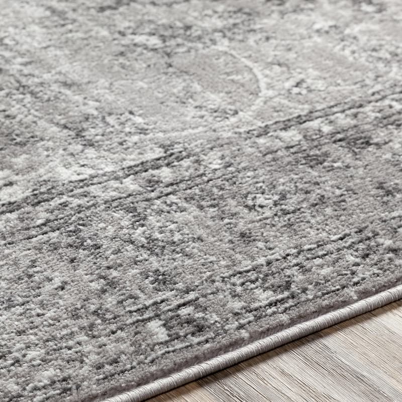 Livabliss Monte Carlo Updated Traditional Medallion Area Rug