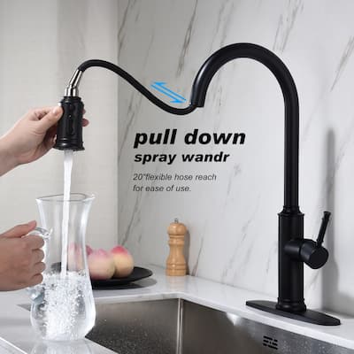 Single-Handle Pull Out Sprayer Kitchen Faucet with Deck Plate in Matte Black