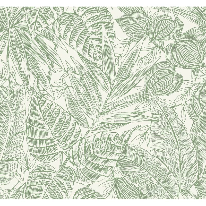 A-Street Prints Brentwood Green Palm Leaves Wallpaper