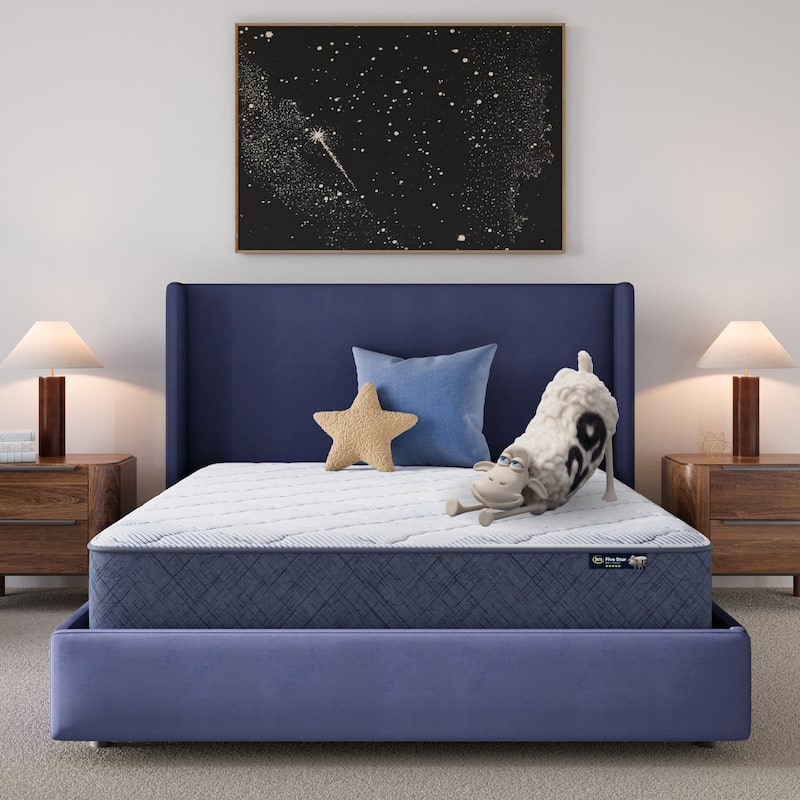 Serta Five Star Mattress Sleep to Go 10" Medium Mattress in a Box