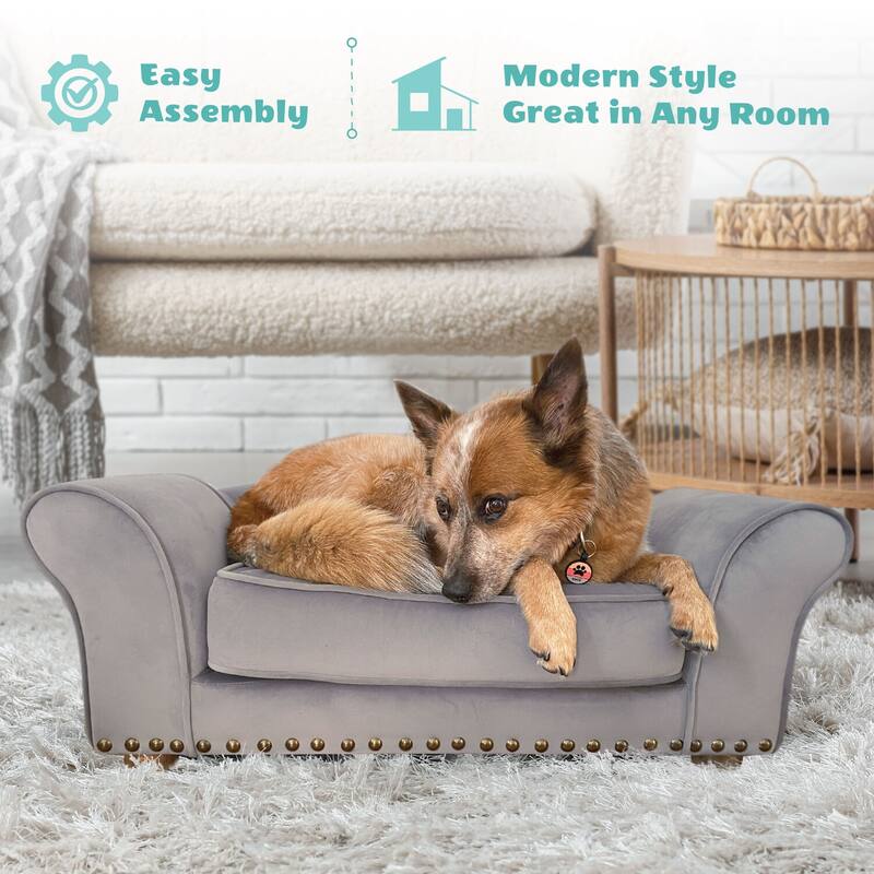 Critter Sitters 34-in. Faux Velvet Pet Bed Sofa for Medium-Sized Dogs and Cats in Brown