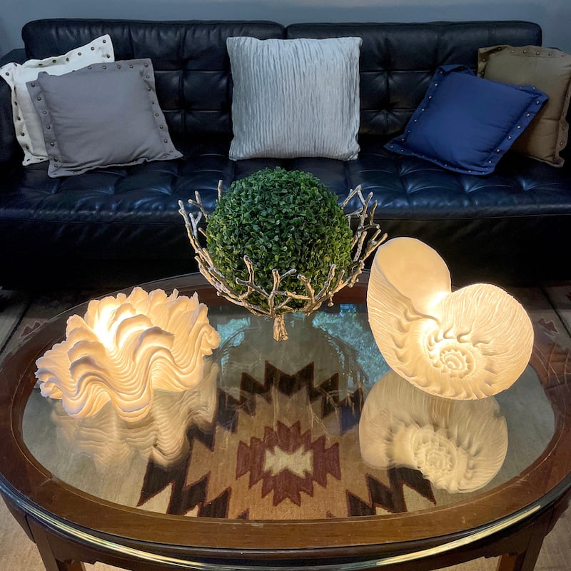 White Sandstone Finish Frilled Nautilus Shell Accent Lamp 10 Inch - 10 X 11.5 X 6.75 inches