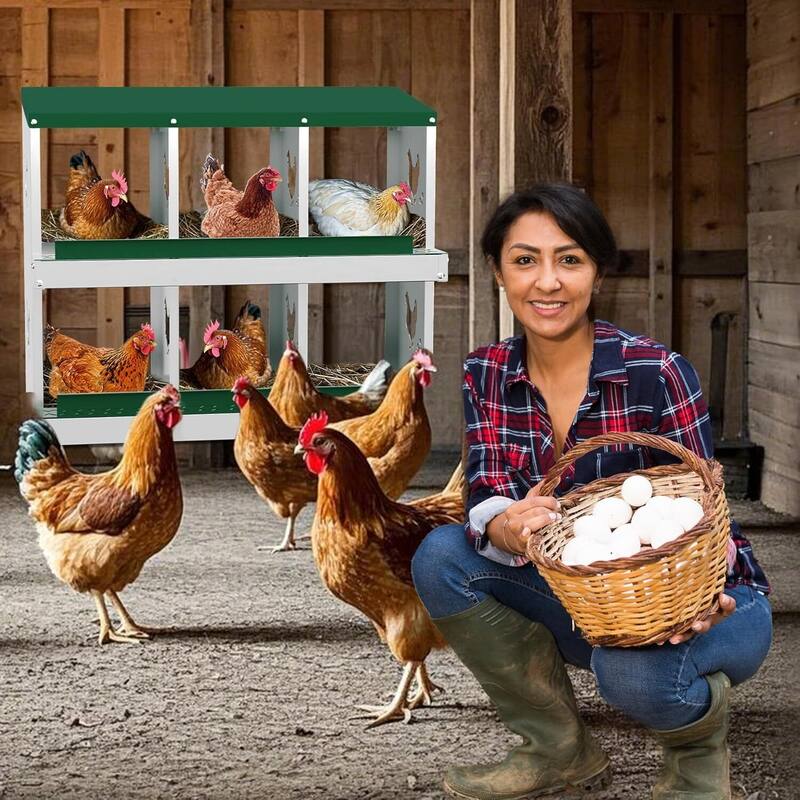 Chicken Nesting Box Nesting Boxes - Green 6-Hole (without legs)