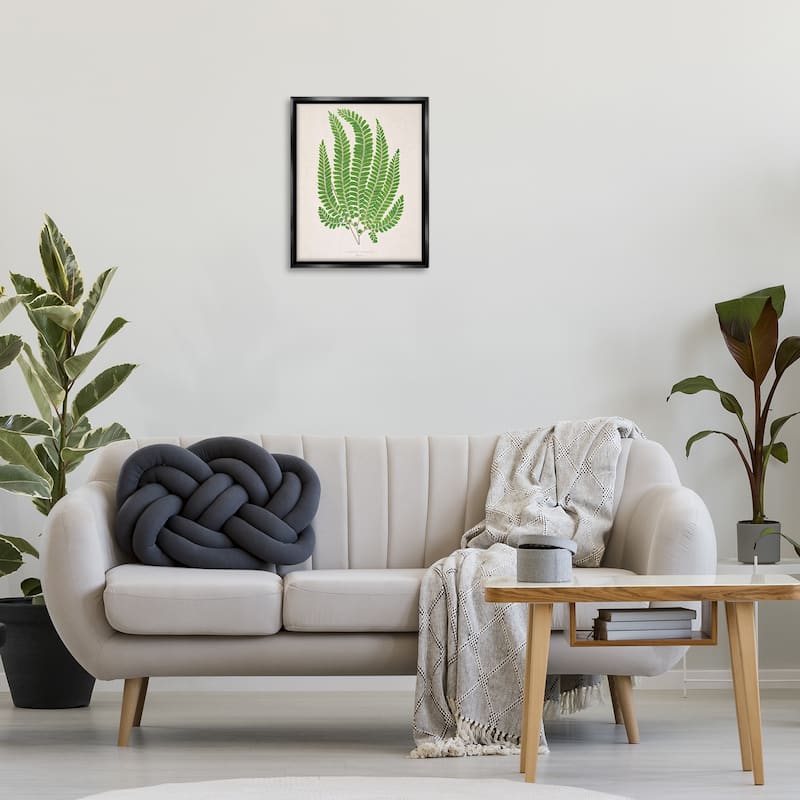 Stupell Cottage Ferns Study Framed Floater Canvas Wall Art Design By Phillipa Katz