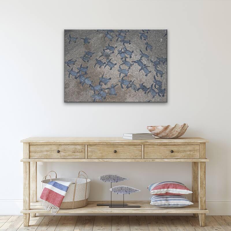 Ready2HangArt 'Turtle Hatchlings' Wrapped Canvas Wall Art