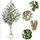 preview thumbnail 17 of 22, Artificial Olive Tree, Faux Silk Plant with White Planter, Natural Trunk & Fruits for Home or Office Decor, 1 Pack