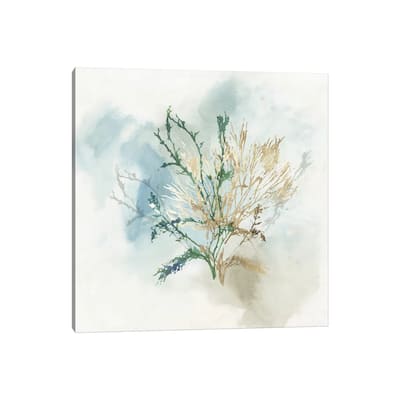 iCanvas "Green Coral II " by Aimee Wilson Canvas Print