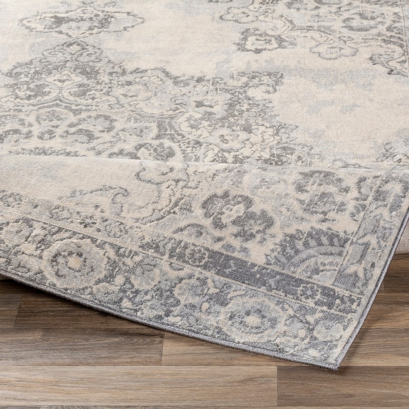 Prue Persian Medallion Area Rug - 2'7" x 7'3" Runner