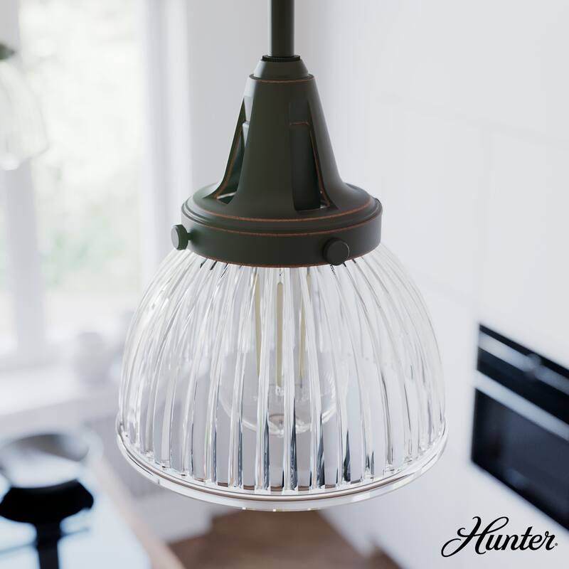 Hunter 7" Cypress Grove 1 Light Mini Pendant - Island, Dining, Entry, Hall - Industrial, Contemporary, Transitional - Onyx Bengal