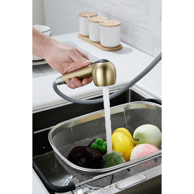 Utility Sink Faucets Single-Handle Pull-Out Laundry Faucet with Dual Spray Function in Stainless Spot Resistant Gold