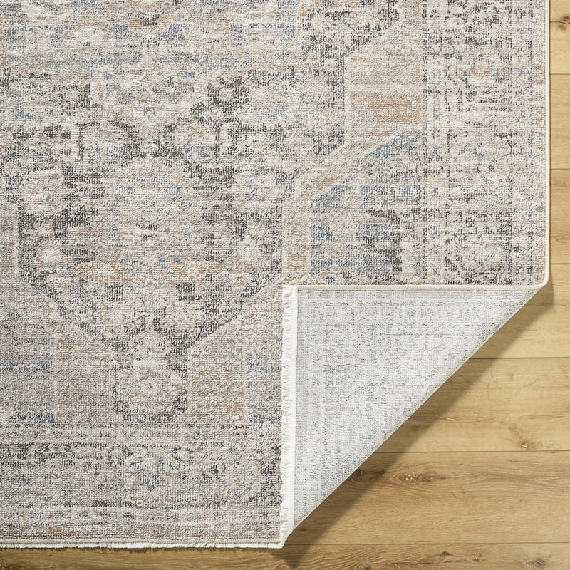 Galey Alix x Livabliss Maria Elena IV Vintage Medallion Area Rug