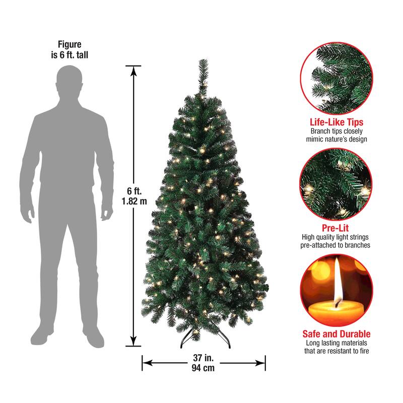National Tree Company 6 ft. Acacia Christmas Tree with Clear Lights - 6 Foot