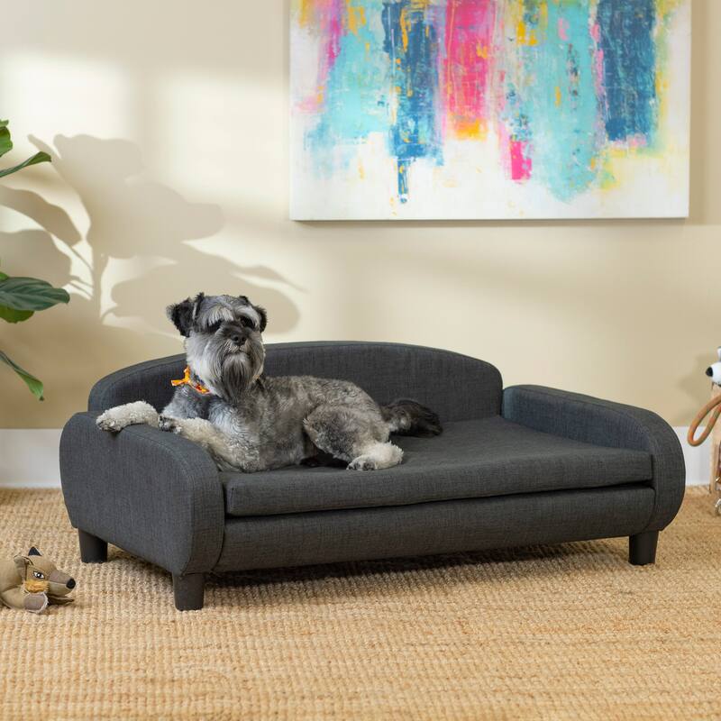 Paws & Purrs Modern Pet Sofa Bed Low-Back Lounger for Dogs & Cats – Removable Washable Mattress Cover