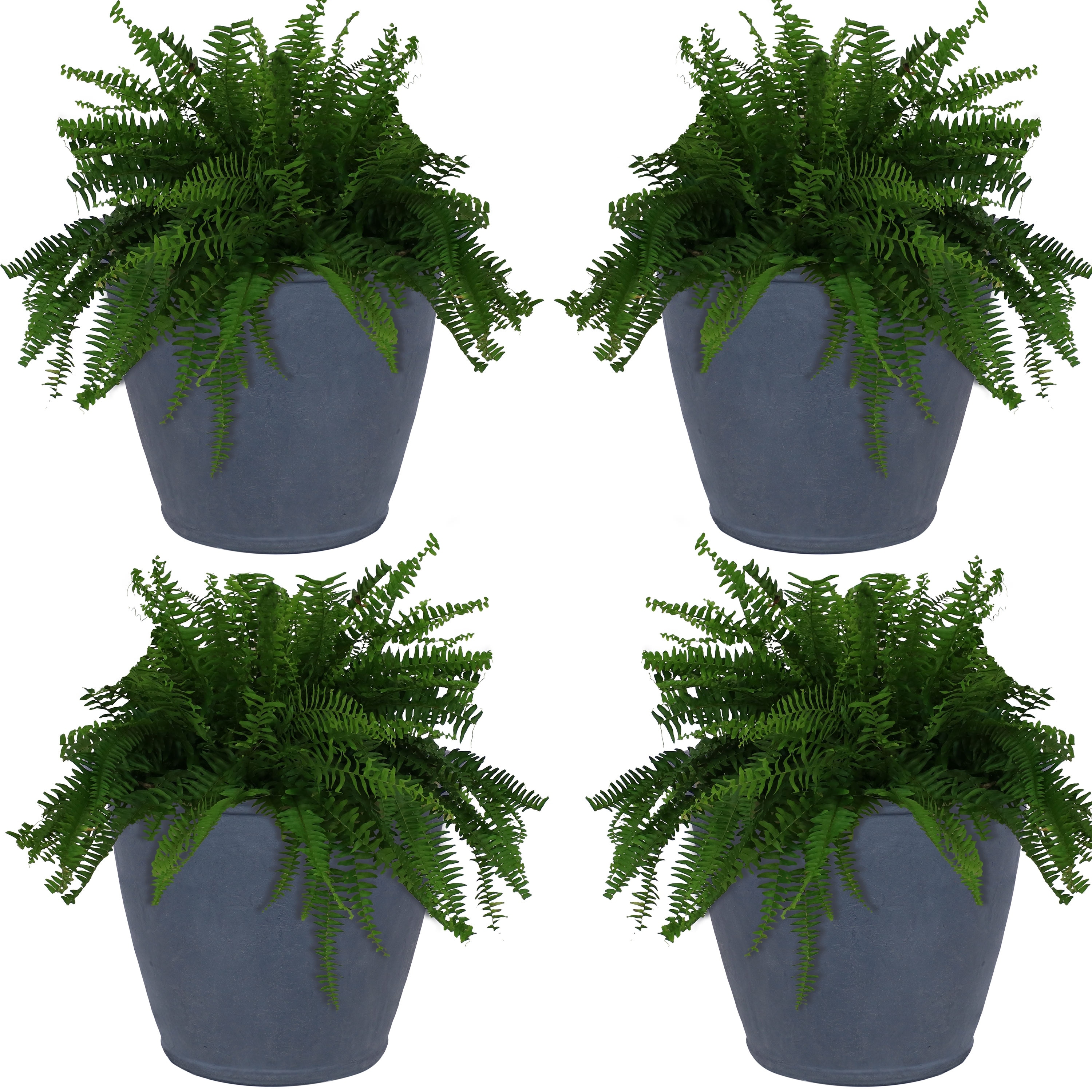 11+ 24 Inch Planter