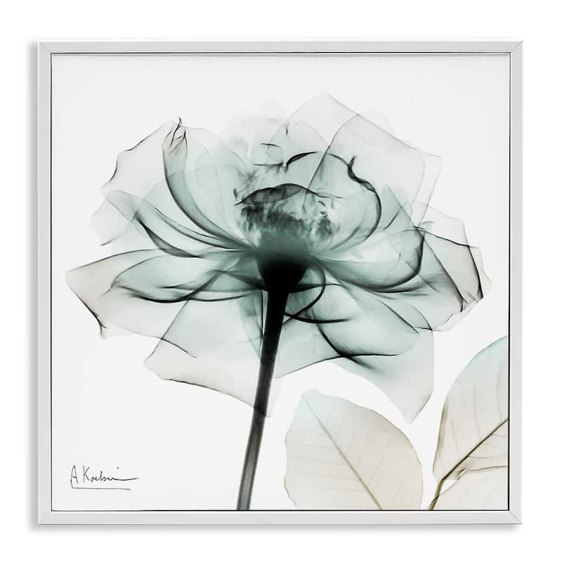 Stupell Transparent Flower Blossom Framed Giclee Art Design By Albert Koetsier - 24 x 24 - White
