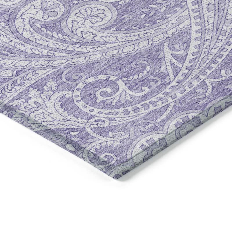 HomeRoots Paisley Transitional Rectangle Outdoor Rug