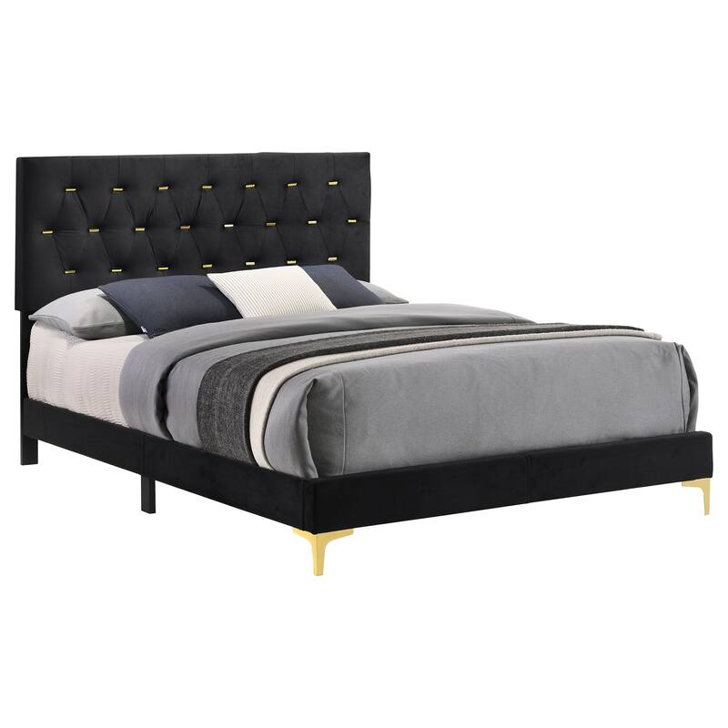 Luxury Black Velvet Upholstered Queen Bed with Gold Accents