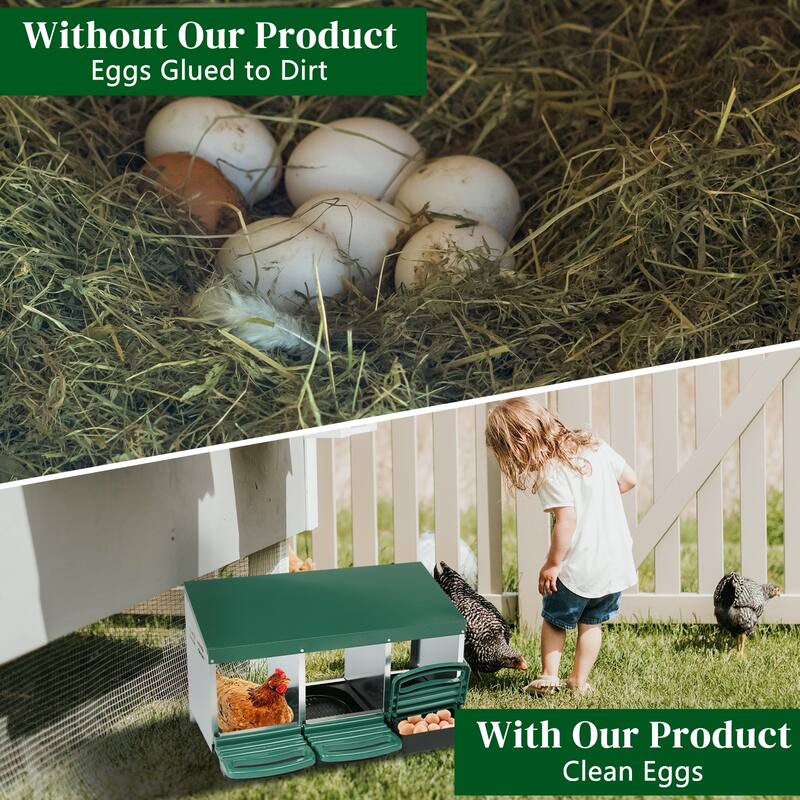 3 Compartment Chicken Egg Nesting Box with Roll Out Plastic Baskets for Hens