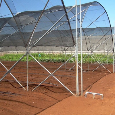 Agfabric 40% Sunblock Shade Cloth Cover with Clips for Plants 6' X 24' - 6' X 24'