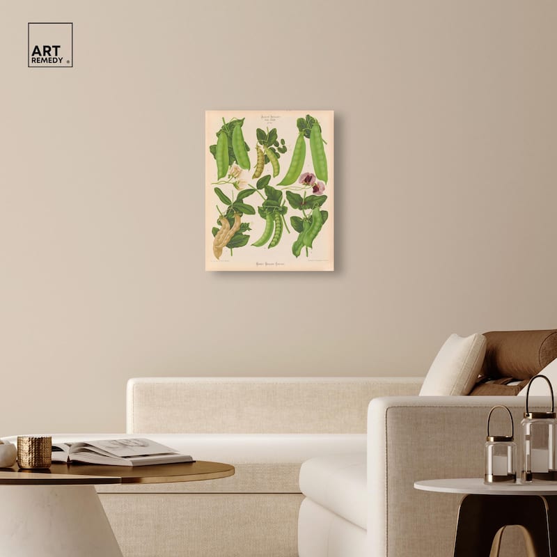 Podded Peas from Benary 1876 Canvas by Art Remedy, Gallery Wrapped