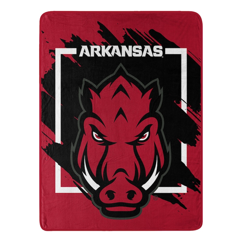 NCAA Arkansas Razorbacks Dimensional Micro Raschel Throw Blanket