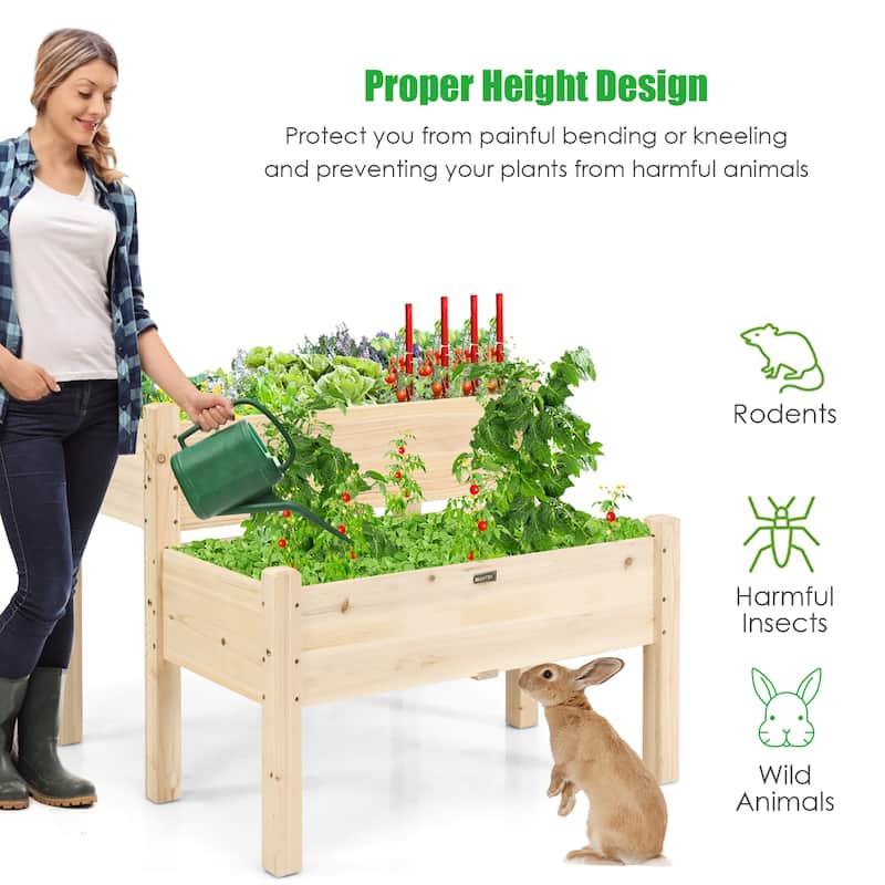 Set of 2 Raised Garden Bed 2 Tier Elevated Wood Planter Box