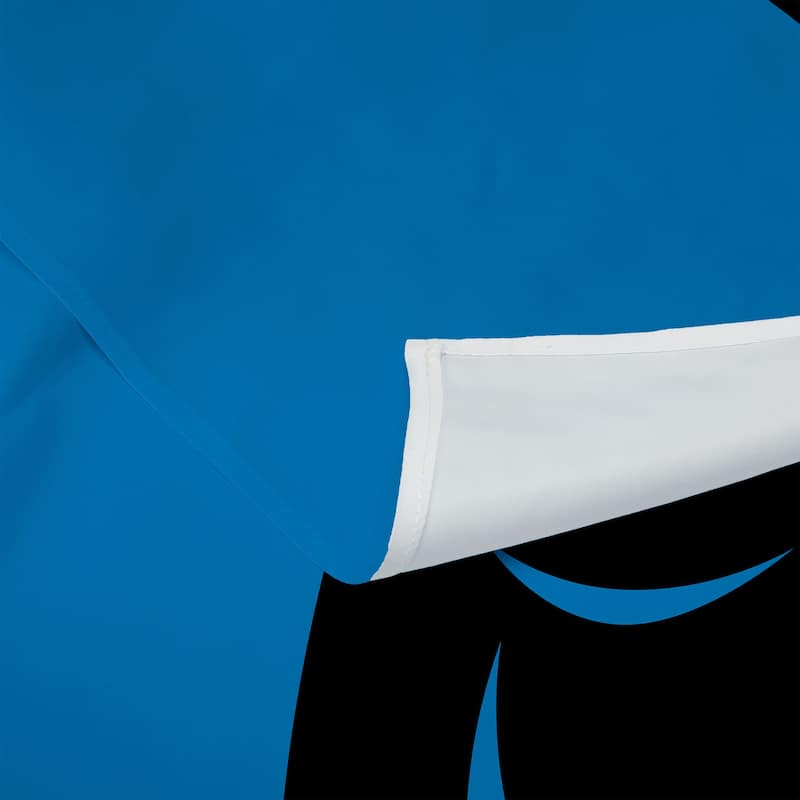 NFL Carolina Panthers Premium Wall Hanging - 34"x40"