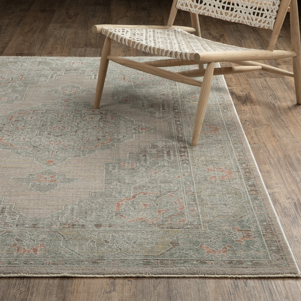 Kellan Global Medallion Beige/ Multi Area Rug