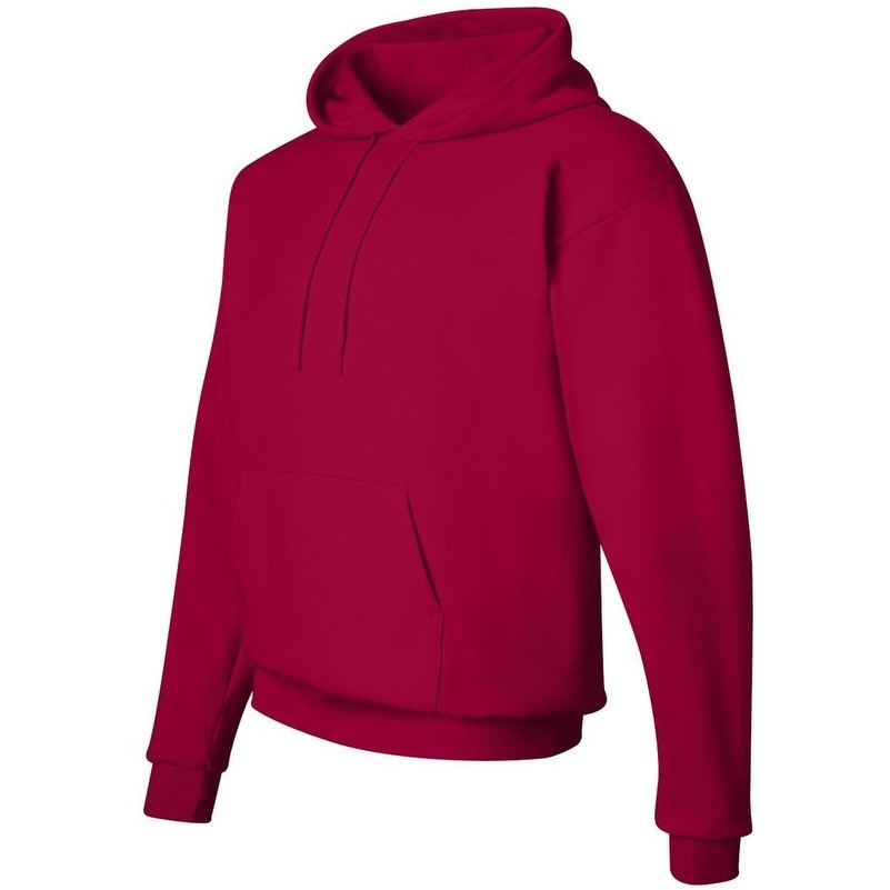 1 Purple Hanes P170 Mens EcoSmart Hooded Sweatshirt Large 1 Light Blue