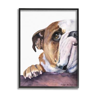 Stupell Curious English Bulldog Gaze Pet Dog Portrait Framed Wall Art