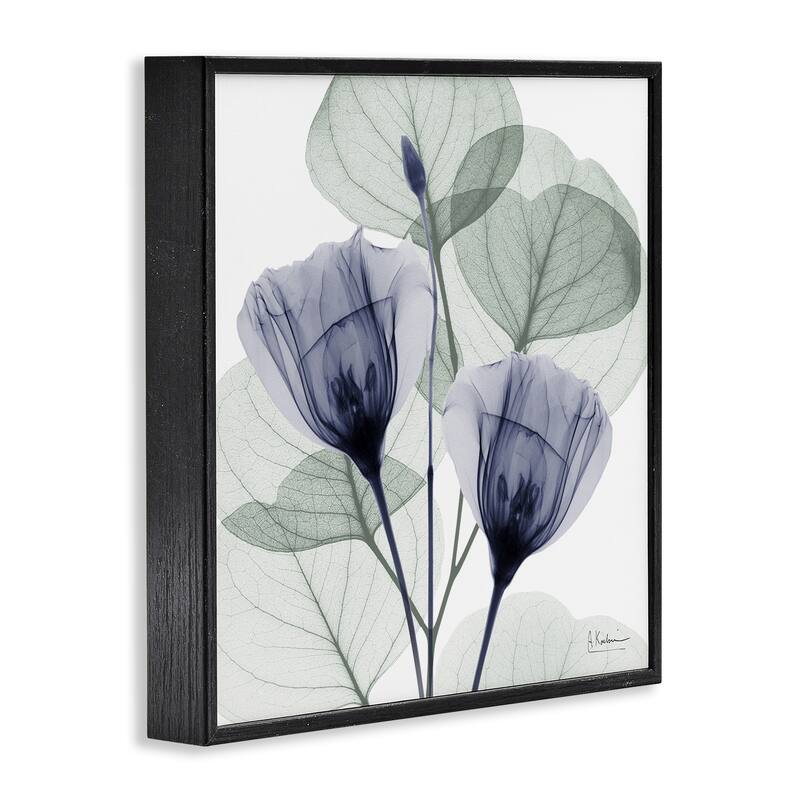 Stupell Contemporary Eucalyptus & Herbs Framed Giclee Art Design By Albert Koetsier