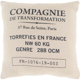 Valentina Beige Modern Farmhouse Throw Pillow Cover (20" x 20")