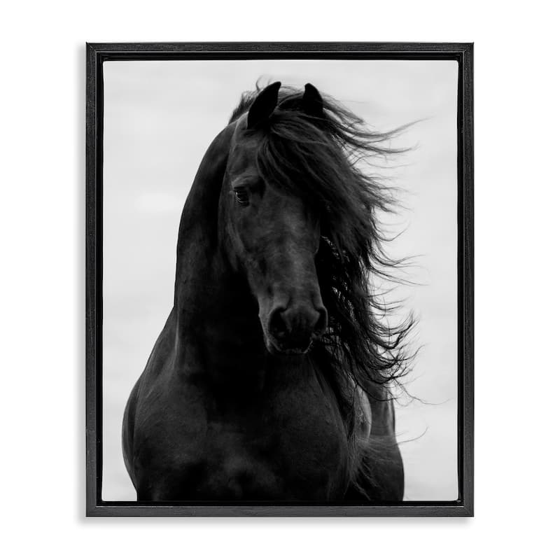 Stupell Black Stallion Horse Portrait Soft Grey Sky Photography Floater Frame - 25 x 31 - Black
