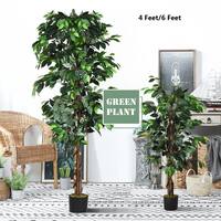 Buy Artificial Plants Online At Overstock Our Best Decorative
