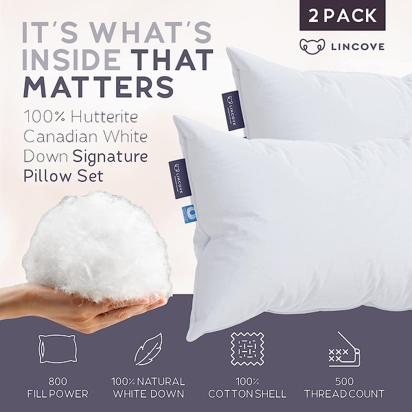 800 fill down pillow online